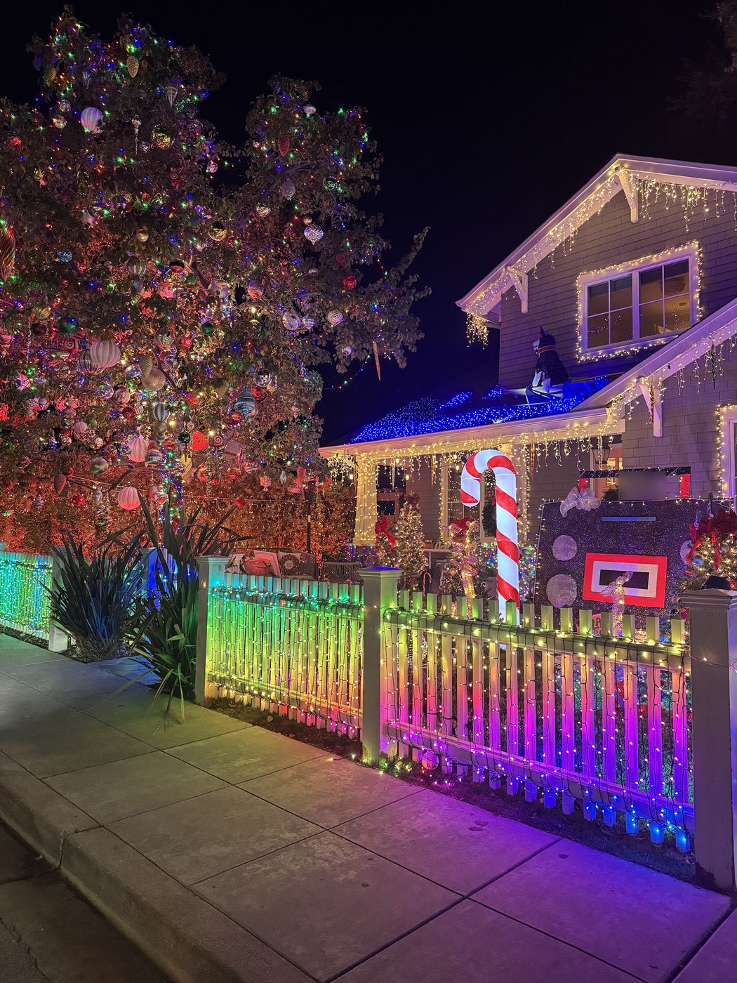 A house on Eucalyptus Street in San Carlos covered in colorful holiday lights