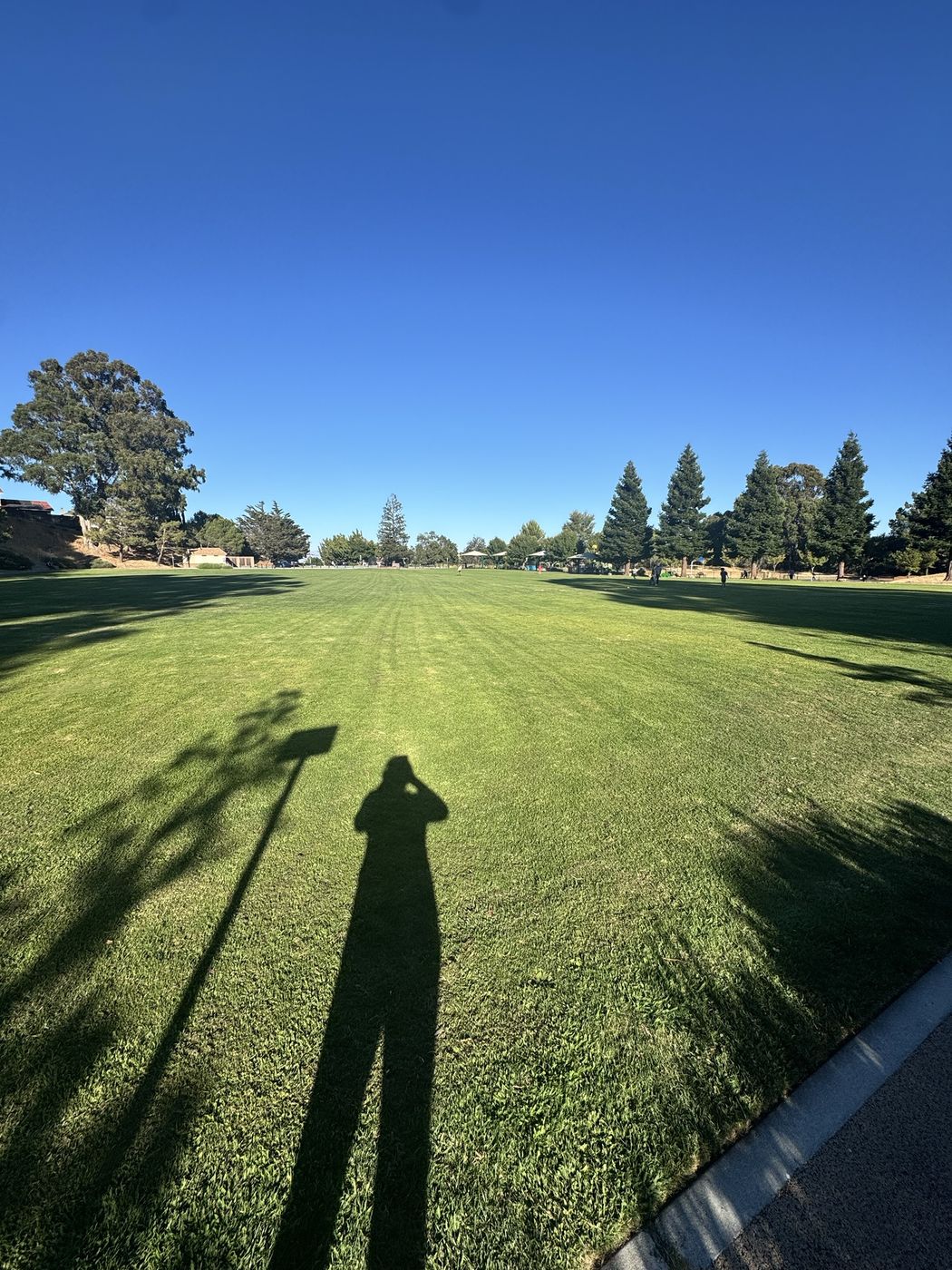 Elaine's shadow on the wide green lawn at Crestview Park in San Carlos